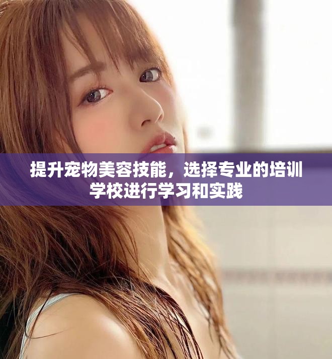 提升宠物美容技能，选择专业的培训学校进行学习和实践