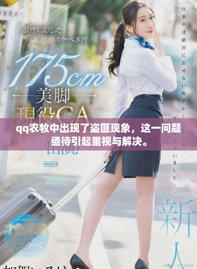 qq农牧中出现了盗匪现象，这一问题亟待引起重视与解决。
