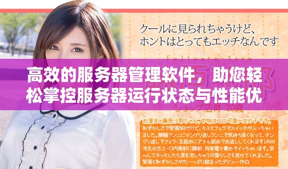 高效的服务器管理软件，助您轻松掌控服务器运行状态与性能优化