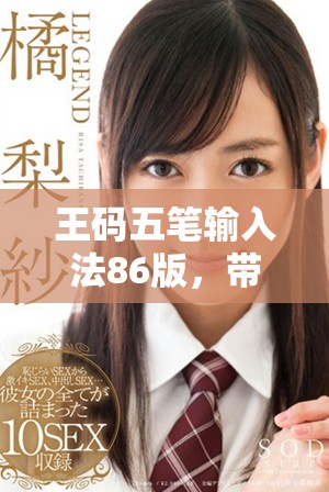王码五笔输入法86版，带你体验全新输入的便利与高效