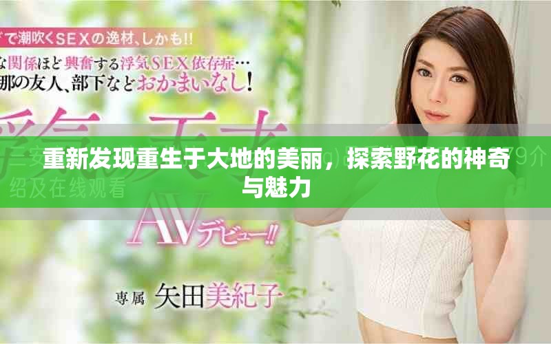 重新发现重生于大地的美丽，探索野花的神奇与魅力