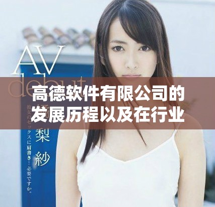 高德软件有限公司的发展历程以及在行业中的重要地位解析