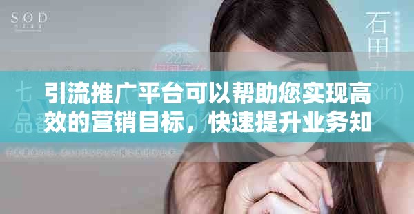 引流推广平台可以帮助您实现高效的营销目标，快速提升业务知名度。