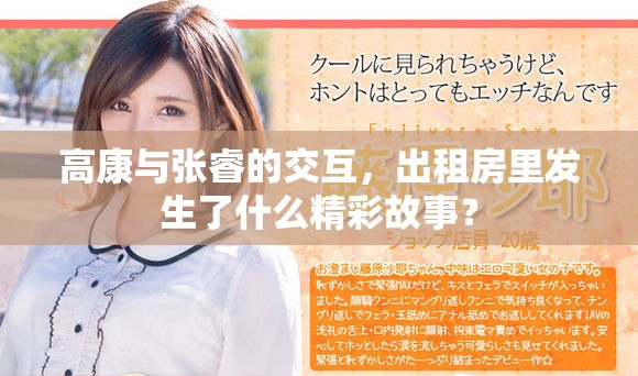 高康与张睿的交互，出租房里发生了什么精彩故事？
