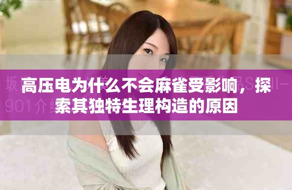 高压电为什么不会麻雀受影响，探索其独特生理构造的原因