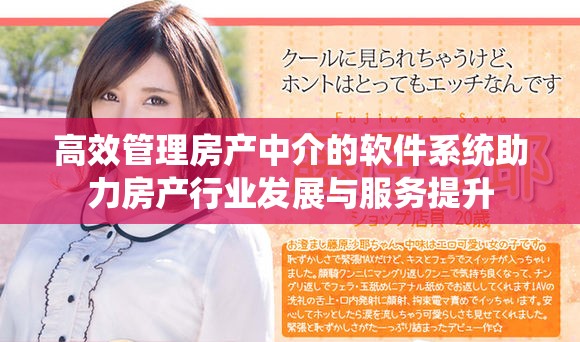高效管理房产中介的软件系统助力房产行业发展与服务提升