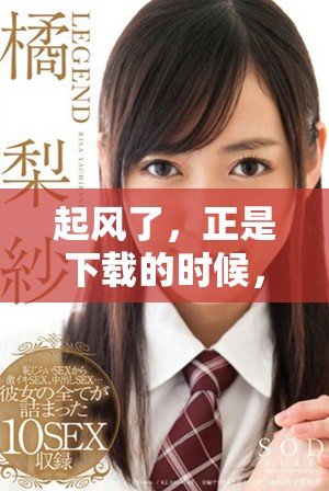 起风了，正是下载的时候，这是一部值得期待的作品