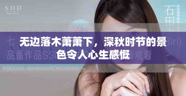 无边落木萧萧下，深秋时节的景色令人心生感慨