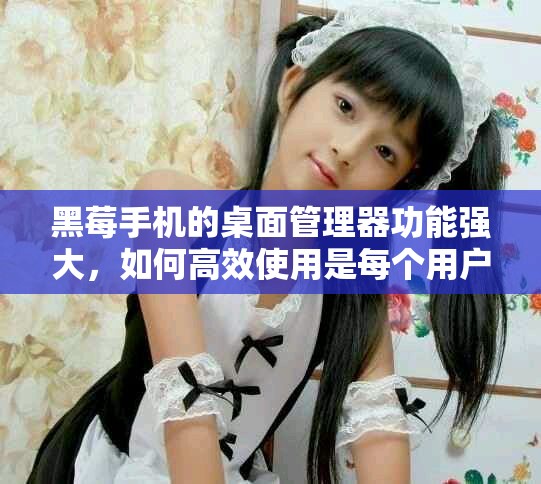 黑莓手机的桌面管理器功能强大，如何高效使用是每个用户的必修课