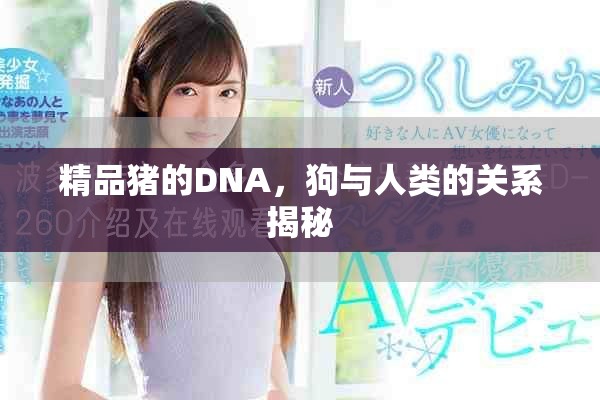 精品猪的DNA，狗与人类的关系揭秘