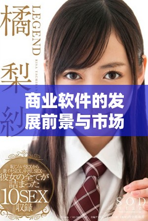 商业软件的发展前景与市场需求的变化是息息相关的