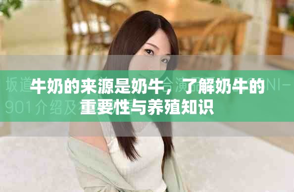 牛奶的来源是奶牛，了解奶牛的重要性与养殖知识
