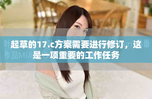 起草的17.c方案需要进行修订，这是一项重要的工作任务