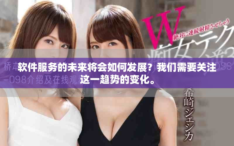 软件服务的未来将会如何发展？我们需要关注这一趋势的变化。