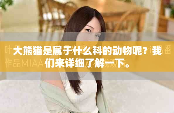大熊猫是属于什么科的动物呢？我们来详细了解一下。
