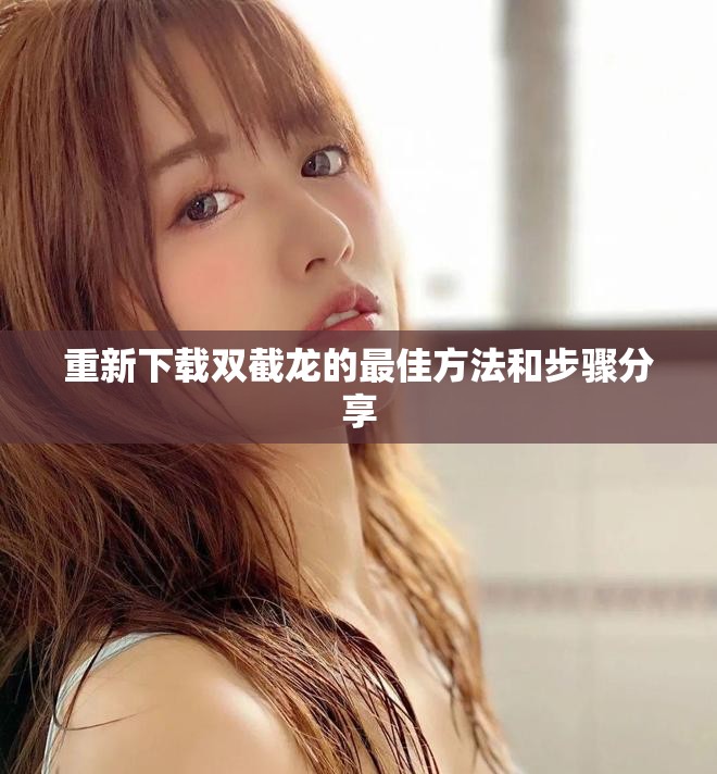 重新下载双截龙的最佳方法和步骤分享