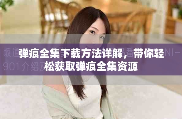 弹痕全集下载方法详解，带你轻松获取弹痕全集资源