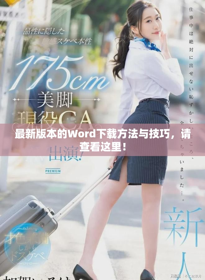 最新版本的Word下载方法与技巧，请查看这里！