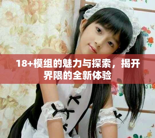 18+模组的魅力与探索，揭开界限的全新体验