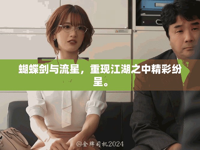 蝴蝶剑与流星，重现江湖之中精彩纷呈。