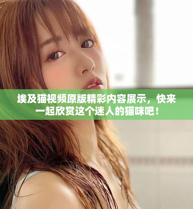 埃及猫视频原版精彩内容展示，快来一起欣赏这个迷人的猫咪吧！