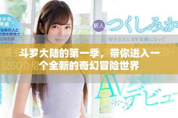 斗罗大陆的第一季，带你进入一个全新的奇幻冒险世界