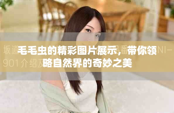 毛毛虫的精彩图片展示，带你领略自然界的奇妙之美