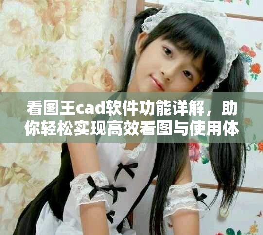 看图王cad软件功能详解，助你轻松实现高效看图与使用体验！