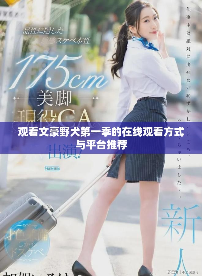 观看文豪野犬第一季的在线观看方式与平台推荐