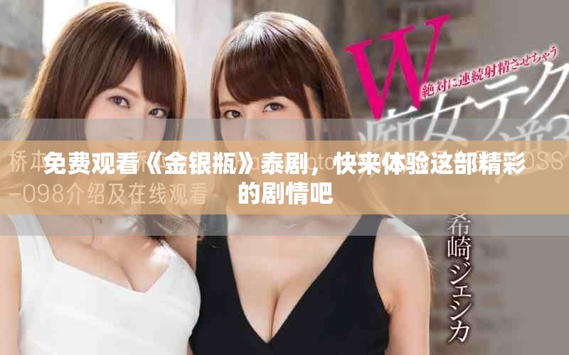 免费观看《金银瓶》泰剧，快来体验这部精彩的剧情吧