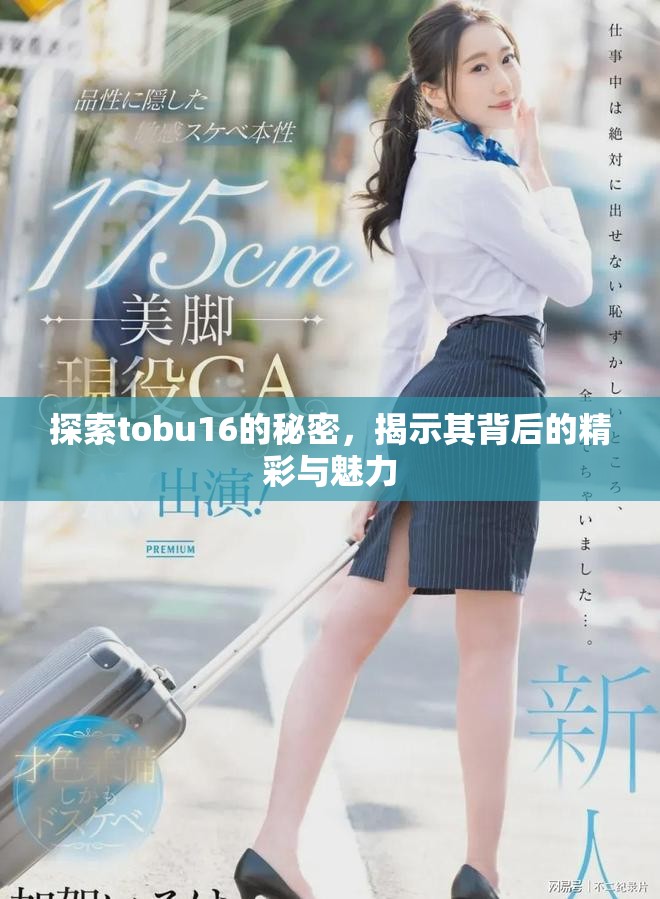 探索tobu16的秘密，揭示其背后的精彩与魅力