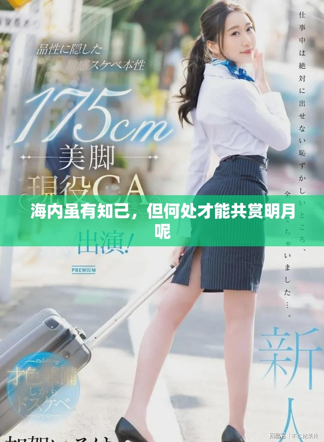 海内虽有知己，但何处才能共赏明月呢