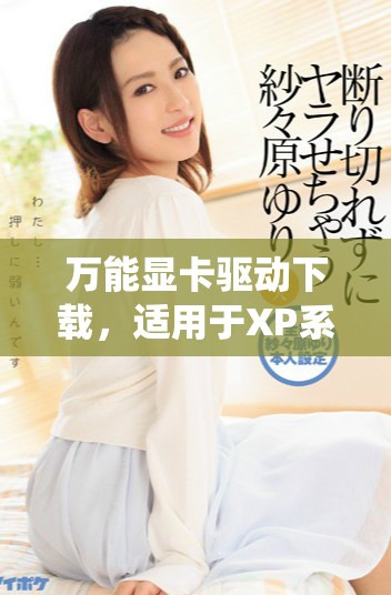 万能显卡驱动下载，适用于XP系统的版本可以在这里找到。